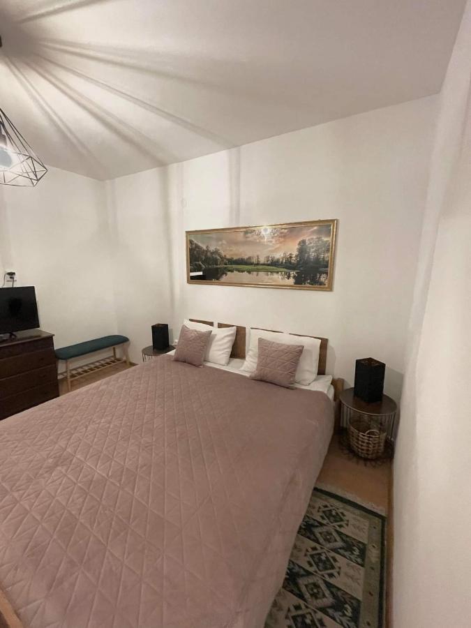 Cm Studio Appartement Sighişoara Buitenkant foto