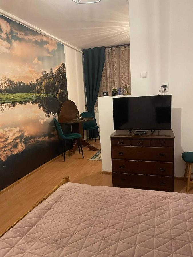 Cm Studio Appartement Sighişoara Buitenkant foto