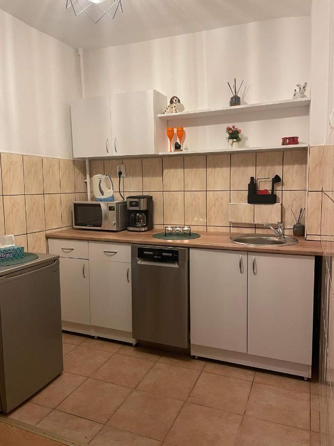 Cm Studio Appartement Sighişoara Buitenkant foto
