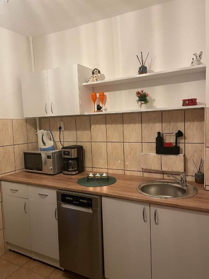 Cm Studio Appartement Sighişoara Buitenkant foto